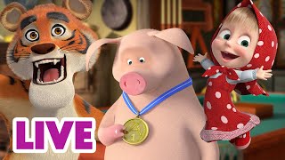 🔴 AO VIVO 👱♀️🐻 Masha e o Urso 🙌💯 Vivendo ao máximo 🤩🫶 Masha and the Bear [upl. by Aer701]