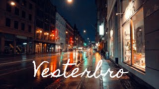 Vesterbro Copenhagen 🇩🇰 Central Station Istedgade Hipster Area Rainy Walk 4k January 2022 [upl. by Atikihs559]