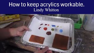 TIP  How to keep acrylic paints moist [upl. by Arlette]