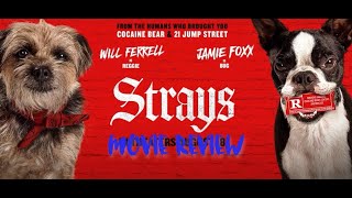 Strays Movie Review [upl. by Sidwell]