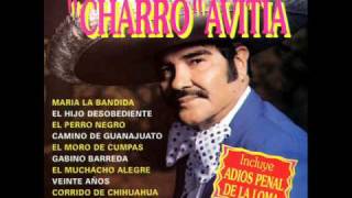 Francisco el Charro Avitia El Tarugazo [upl. by Ahtamat675]