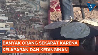 Kelaparan di Gaza Meningkat PBB Bisa Picu Warga Eksodus ke Mesir [upl. by Strohbehn]