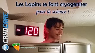 Les Lapins Runners se font cryogéniser pour la science [upl. by Eillib46]