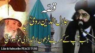 Peer Naseer ud Din Naseer  Story of Jalaluddin Rumi  Peace Tube [upl. by Naired]