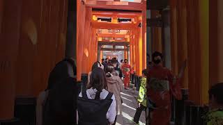 교토 후지미 이나리 신사 걷기 Walk through Fushimi Inari Shrine in Kyoto [upl. by Pang]