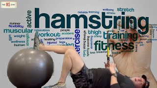 Strengthen Your Hamstrings So You Can Bend Your Knee  Multiple Sclerosis Exercise [upl. by Ahsina]