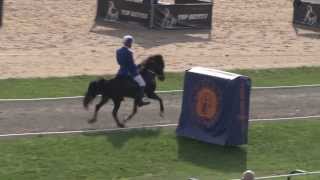 T2 prel 2013 Jakob Svavar Sigurdsson Alur WC Icelandic Horses IslandpferdeWM [upl. by Dedra984]