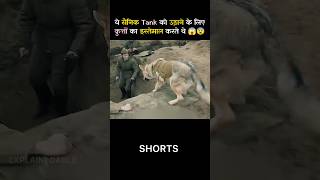 This is how soldiers used dogs in war shorts shortvideo [upl. by Gerry309]