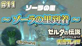 【NS】ゼルダの伝説 ブレスオブザワイルド 実況プレイ！11【ニンテンドースイッチ】 [upl. by Kadner]