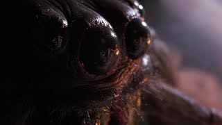 Arachnophobia Full Movie Facts amp Review in English  Jeff Daniels  Julian Sands [upl. by Anett]