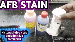 AFB Stain  Acid fast Bacilli  AFB Stain in Histopathology Lab [upl. by Amyaj]