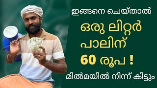 കർഷകന് ഒരു ലിറ്റർ പാലിന് 60 രൂപ  How to get maximum rate for milk from Milma  2024 [upl. by Einamrej282]