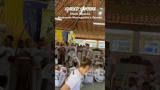 Abadá Capoeira Mestrando Morceguinho e Davisao mestrecamisa abadacapoeira capoeiraeassim [upl. by Grimaud953]