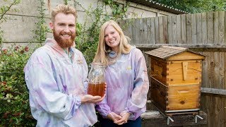 Daisy amp Cameron Flow Hive beekeeping and honey harvesting in the UK [upl. by Ajnek]