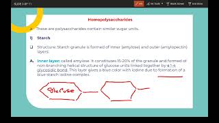 Polysaccharides 1 [upl. by Gertrud929]