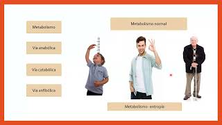 Metabolismo de carbohidratos lípidos y proteínas Visión General [upl. by Ibrab493]