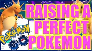 THE BEST WAY TO EVOLVE amp POWER UP POKEMON IN POKEMON GO POKEMON IVS [upl. by Gilchrist]