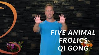 Five Animal Frolics Qi Gong Tiger Routine  Qi Gong with Lee Holden [upl. by Ecnahc]