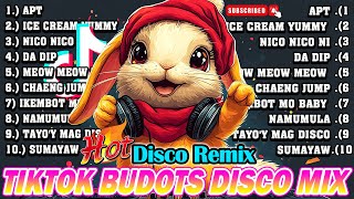 NEW TIKTOK BUDOTS DISCO DANCE REMIX NONSTOP 2024  NEW TIKTOK MASHUP BUDOTS DANCE REMIX 2024 [upl. by Bohs]