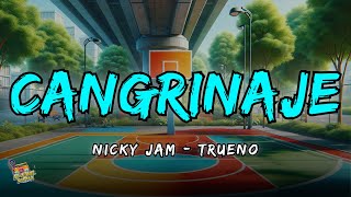 Cangrinaje  Nicky Jam x Trueno Letra  Lyrics [upl. by Redyr299]