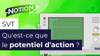 Physiologie Cardiaque  Activité électrique du coeur Part1 [upl. by Hector]