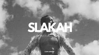 Slakah the Beatchild  Share ft Drake  CU [upl. by Aysab]