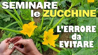 SEMINARE le ZUCCHINE  LERRORE da EVITARE [upl. by Neelhtakyram]