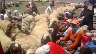 Van bahçesaray demkar yayla videosu 2007 MEHMET OKYAY [upl. by Gnen]