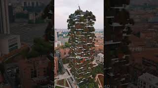 «Вертикальный лес» Bosco Verticale [upl. by Adnaval156]