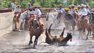 Chava Belmontes quot JOVEN RANCHERO quot  PROMO 2014 [upl. by Sergias286]