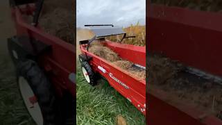 Spreading with a new CM50 manure spreader [upl. by Oranneg]