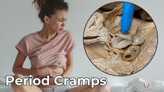 Why Men Cant Experience Period Cramps amp Why They Are So Painful [upl. by Laurentia427]