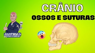 Anatomia do crânio ossos e suturas [upl. by Aziram36]