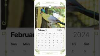 Birds Wall calendar 2024 [upl. by Yditsahc]