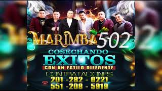 MARIMBA 502 CUMBIAMBERA Nuevo 2022 cover [upl. by Colley]