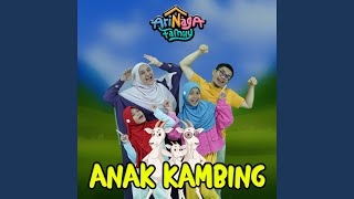 Anak Kambing [upl. by Launce]