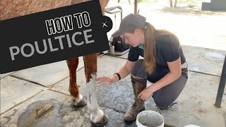 How To Poultice a Leg [upl. by Nalla]