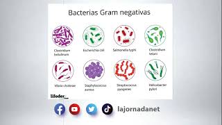 Descubren nuevo compuesto capaz de destruir bacterias super resistentes a los fármacos [upl. by Plunkett]