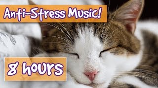 Songs for Nervous Cats Soothing Music to Calm Your Hyperactive Anxious Cat and Help with Sleep 🐈 [upl. by Aisatsanna291]