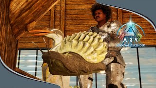 Easy Setup Automated Farm in Ark Survival Ascended EP4 [upl. by Nor221]