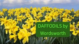 DAFFODILS by William Wordsworth text in urdu with explanation [upl. by Alford85]