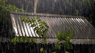 Sono profundo instantaneamente com CHUVA FORTE no Telhado de Zinco  Barulho de Chuva para Dormir [upl. by Pinkham894]