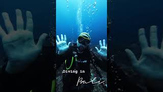 Scuba Diving in Bali Nusa Penida Diving balidiving [upl. by Aeriela363]