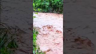 The highest flood this year in the mountains flood Floodsinthemountains RedStream [upl. by Annert]