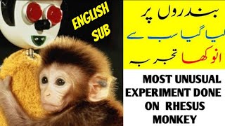 MOST UNUSUAL EXPERIMENT DONE ON RHESUS MONKEYHARRY HARLOWWIRE MOTHER EXPERIMENTIN URDU HINDI [upl. by Fields]