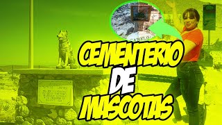 CEMENTERIO DE MASCOTAS EN CIUDAD JUAREZ CHIH [upl. by Eiramlirpa327]