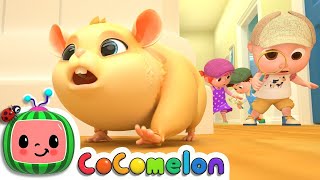 Lost Hamster CoComelon Nursery Rhymes amp Kids Songs [upl. by Moneta]