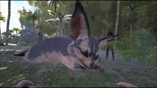 Ark Survival Evolved Mother Jerboa the biggest jerboa in ark [upl. by Ala]