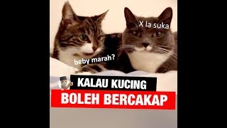 KUCING BOLEH BERCAKAP [upl. by Lever357]