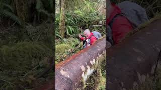 Hiking the Lime Kiln Trail in Washington shorts [upl. by Ahsenra]